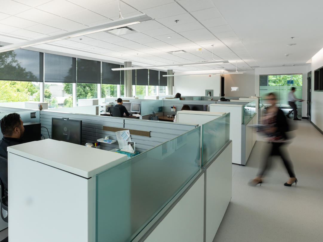 Pre-formulation office