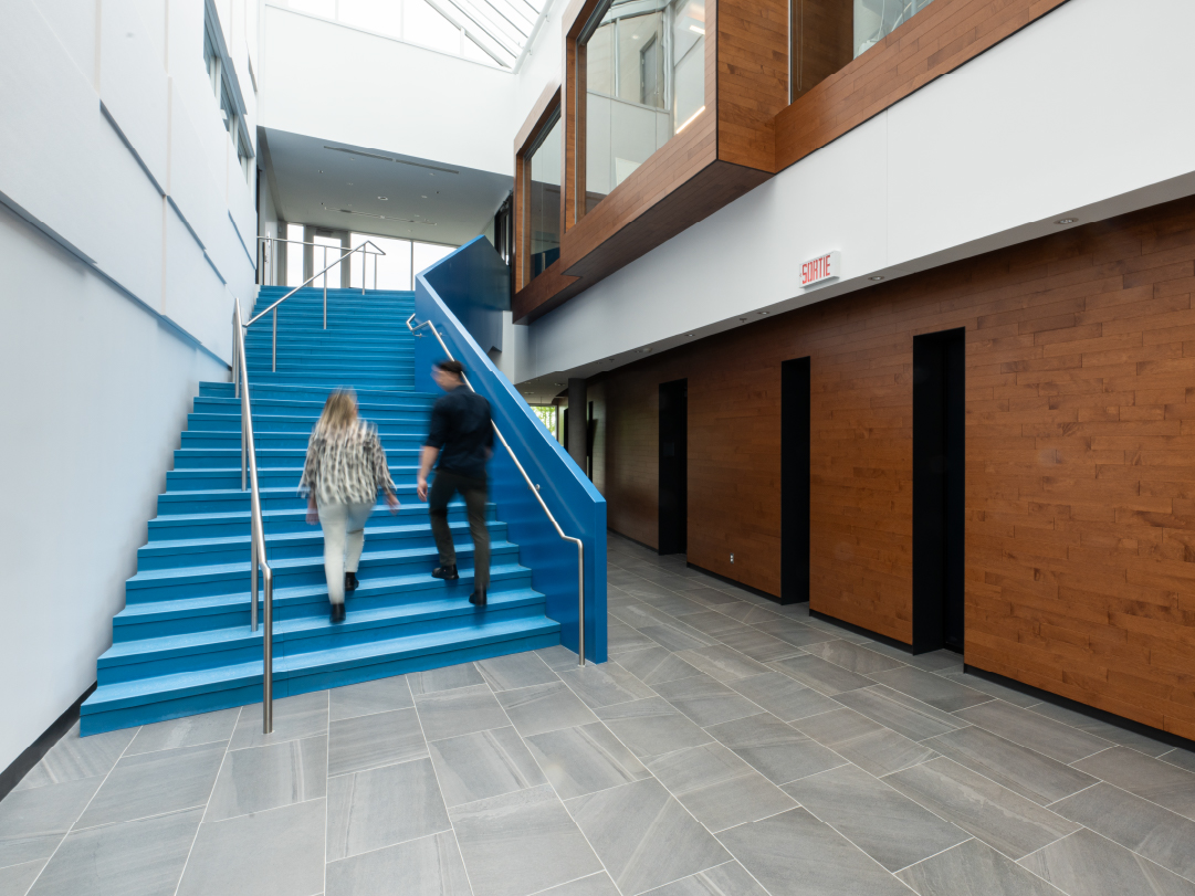 Corealis interior